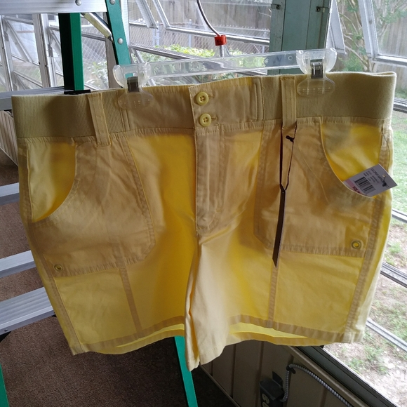 Shorts - Picture 3 of 3